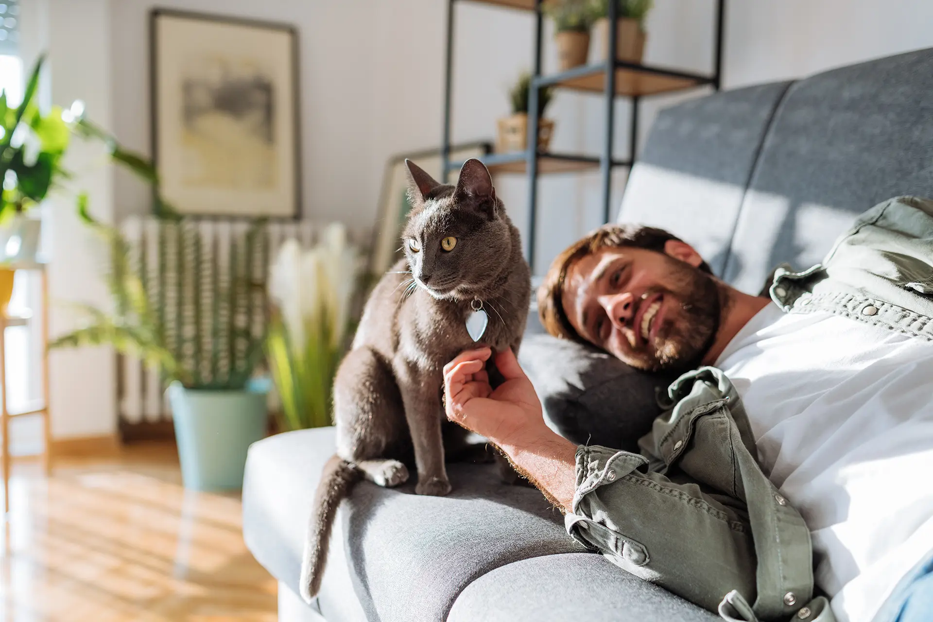 Man lying on a couch petting a cat